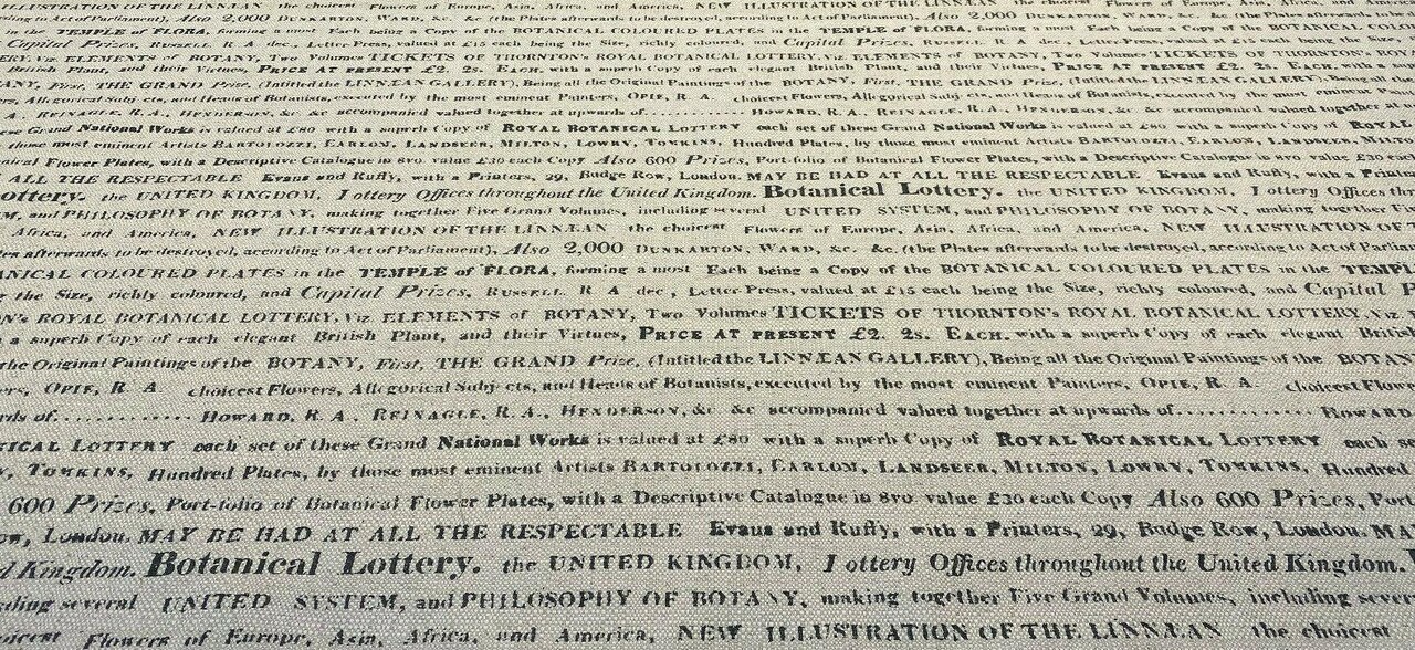 1 Yard Script Botanical Lottery Sepia Cotton Linen Upholstery Fabric 57 Inch Width